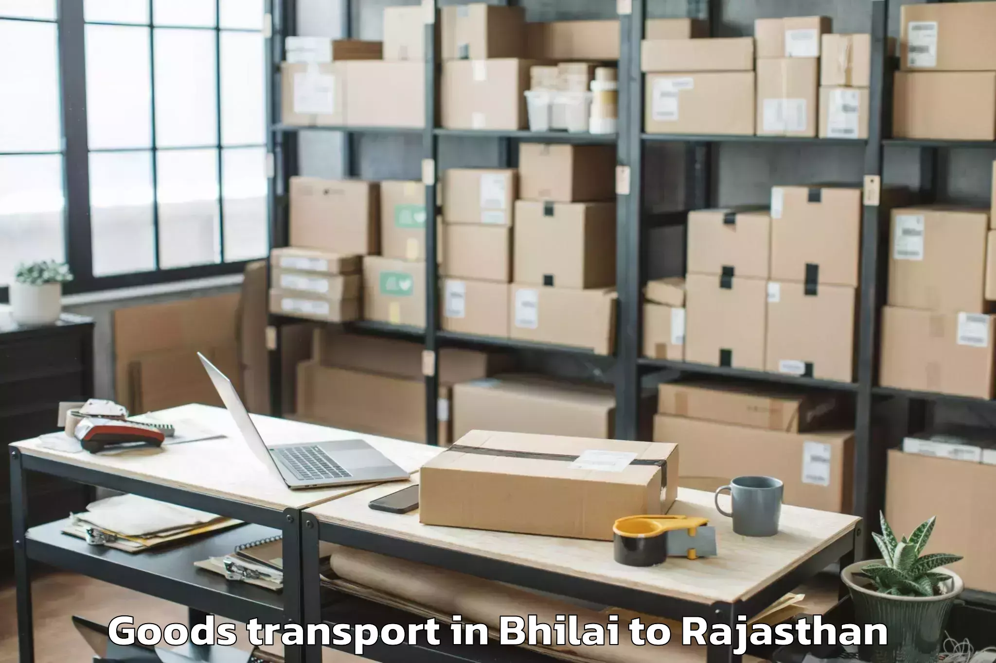 Quality Bhilai to Jalor Goods Transport